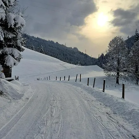 Bergblick * Schloglberg