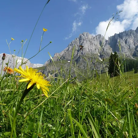 Bergblick 아파트 Schloglberg