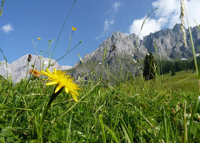 Bergblick Apartamento Mühlbach am Hochkönig